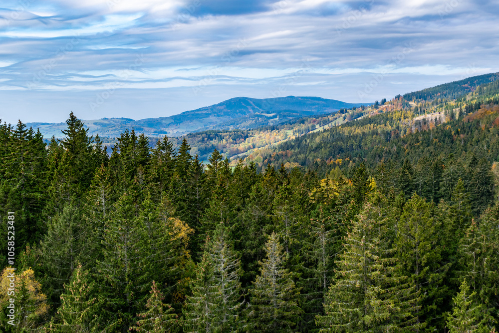 Panorama eines herbstlichen Waldes im Riesengebirge Panorama eines herbstlichen Waldes im Riesengebirge