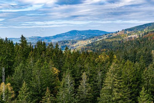 Panorama eines herbstlichen Waldes im Riesengebirge