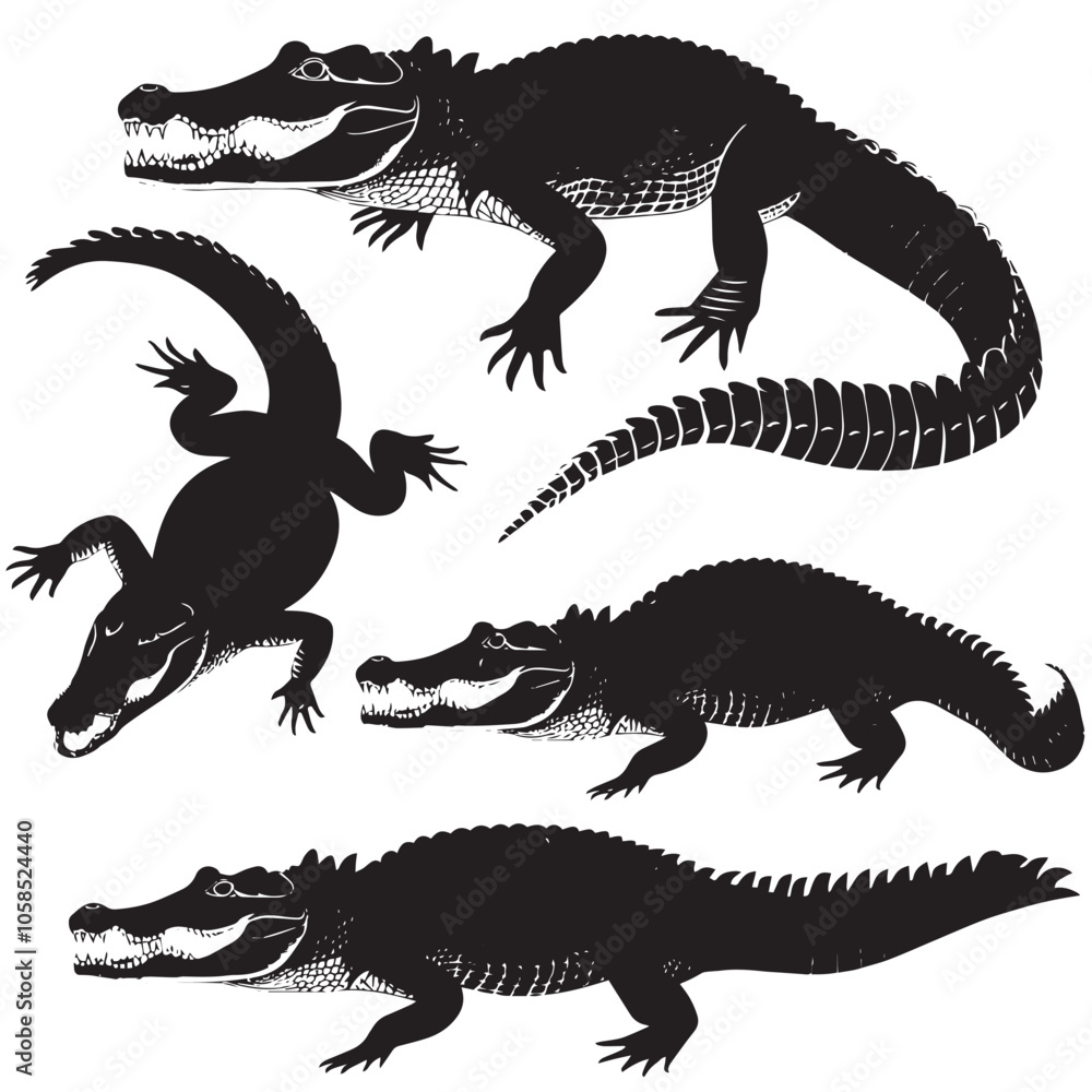 Obraz premium Crocodiles silhouette isolated in White background