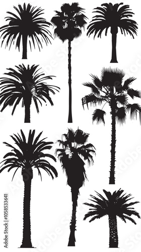date palm trees silhouette vector , black silhouettes isolated on white background 