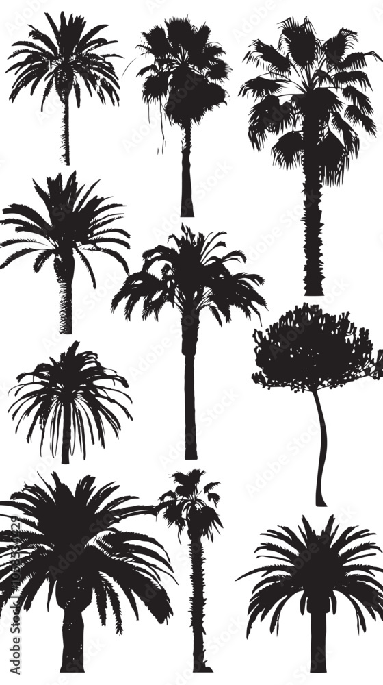 date palm trees silhouette vector , black silhouettes isolated on white background date palm trees silhouette vector , black silhouettes isolated on white background