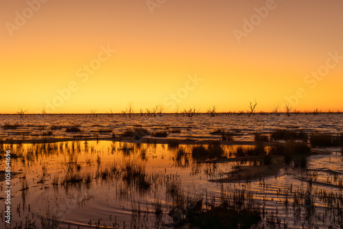 Sunset after the sun has dropped below the horizon with an orange glow and reflections on a lake filled with grasses and dead trees in Lake Pamamaroo near Menindee in New South Wales, Australia. photo