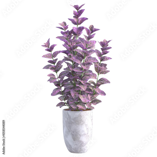 Purple plant in pot, white isolate background photo