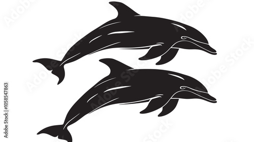 Dolphins silhouette isolated in White background