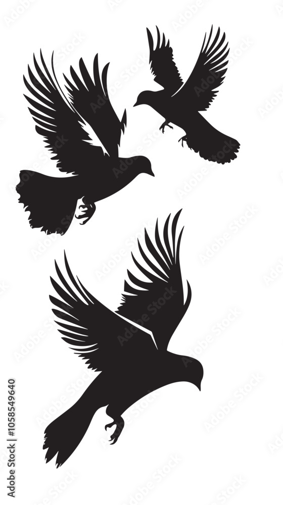 Obraz premium Doves silhouette isolated in White background