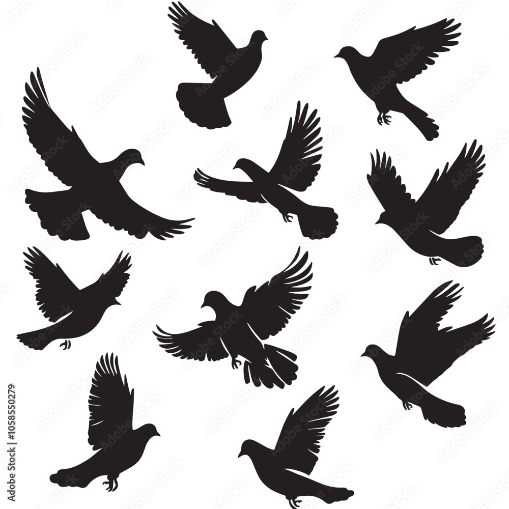 Obraz premium Doves silhouette isolated in White background