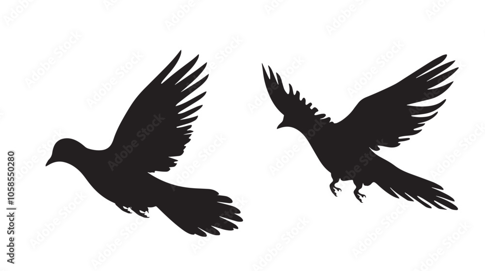 Obraz premium Doves silhouette isolated in White background