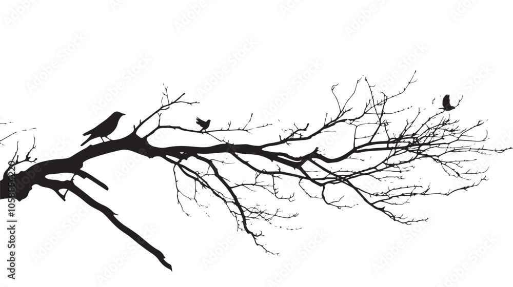 Fototapeta premium Dry tree branch silhouette with birds