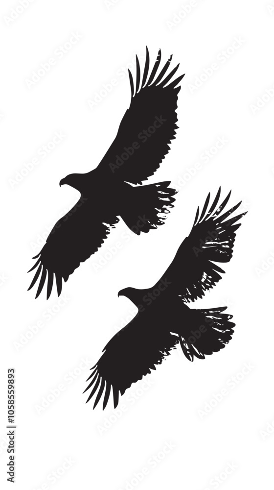 Fototapeta premium Eagles silhouette isolated in White background