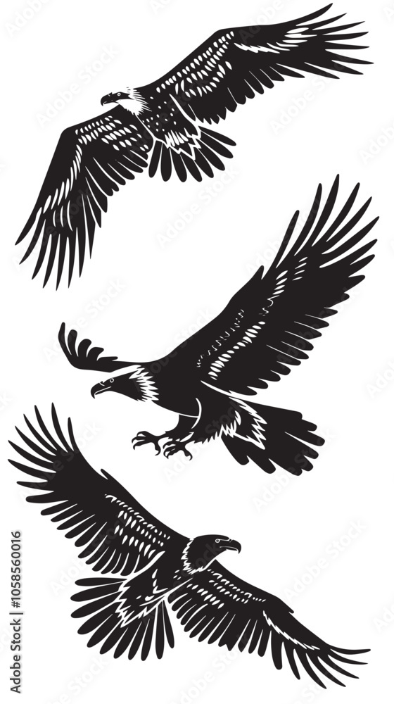Fototapeta premium Eagles silhouette isolated in White background