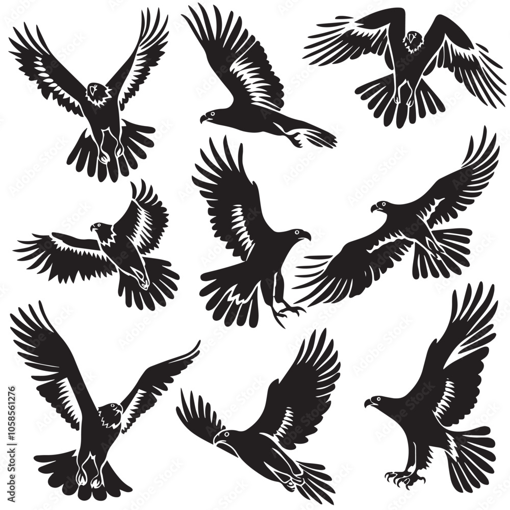 Obraz premium Eagles silhouette isolated in White background