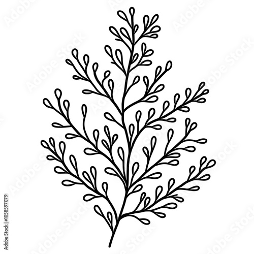 Leaf branch Hand drawn Christmas Winter christianity religion graphic vector illustration isolated on white background color editable 