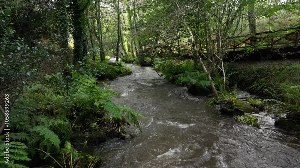 Water Flowing Through Anllons River Along The River Walk And Trees In The Forest In Spain. - aerial shot Water Flowing Through Anllons River Along The River Walk And Trees In The Forest In Spain. - aerial shot