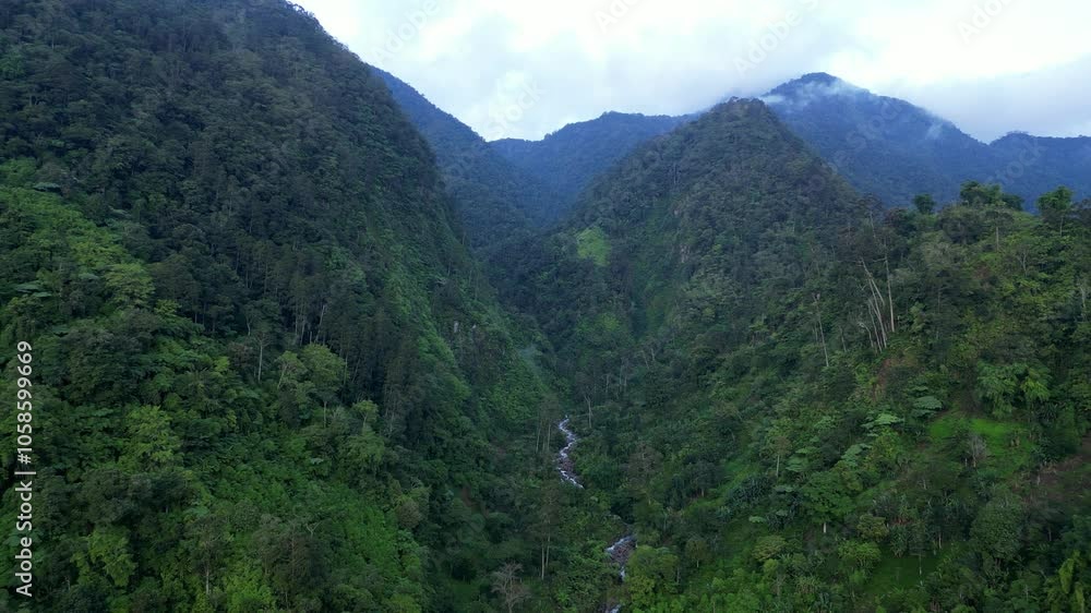 Mountain valley in the Philippine rainforest Mountain valley in the Philippine rainforest