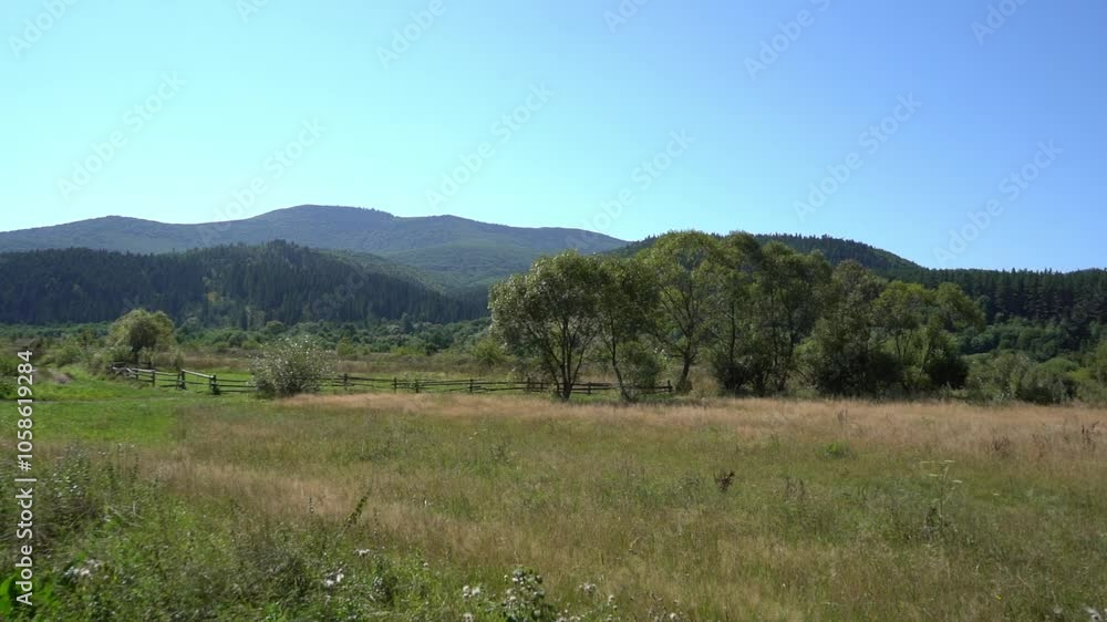 Mountain range. Hill forest meadow valley in summer. Blue sky. Green trees nature Mountain range. Hill forest meadow valley in summer. Blue sky. Green trees nature