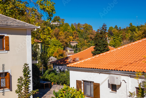 Kissos village at Pelion, Magnisia, Greece. A traditional mountainous village with dense flora. Autumn landscape.  photo