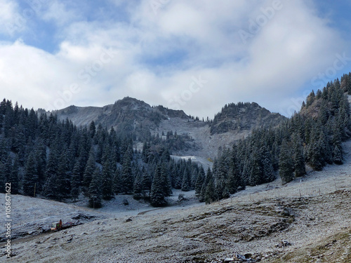 Wallpaper Mural Mountain hiking to Bodenschneid mountain in springtime, Bavaria, Germany Torontodigital.ca