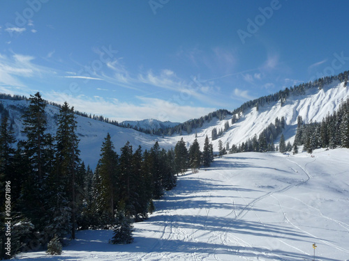 Wallpaper Mural Mountain hiking at Brecherspitze mountain, Bavaria, Germany in wintertime Torontodigital.ca