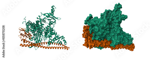 Foto Crystal structure of PI3Kalpha