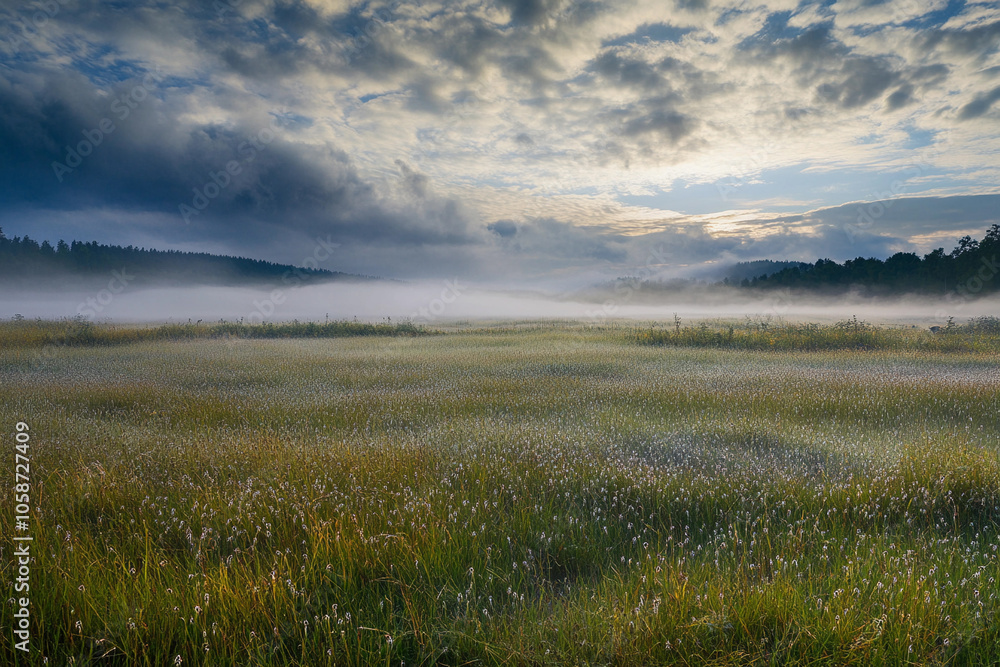 Morning mist blankets a serene meadow at dawn Morning mist blankets a serene meadow at dawn