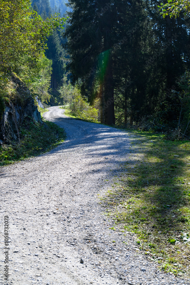 Fototapeta premium Forest road in the mountains