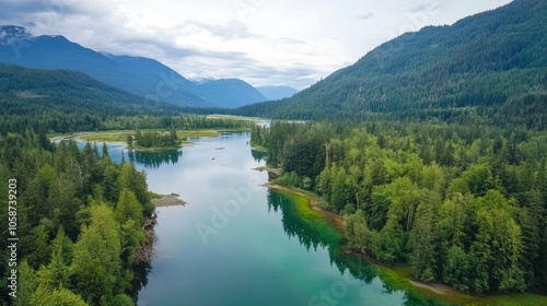 Drone view of a lush green coastal forest. Beauty in nature. Environmental conservation backgrounds. Cheakamus River in Whistler, Canada  photo