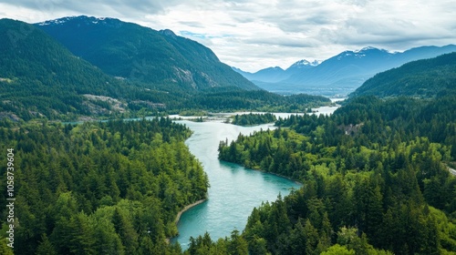 Drone view of a lush green coastal forest. Beauty in nature. Environmental conservation backgrounds. Cheakamus River in Whistler, Canada  photo