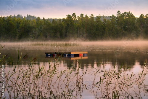 Floating island in the morning in the fog on a Swedish lake. Forest in the background photo