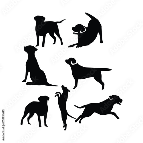 Labrador dog animal silhouette collections