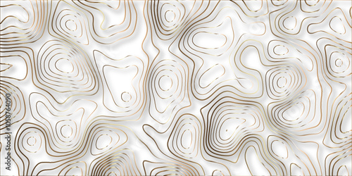 	
Topographic canyon geometric map relief texture with curved layers and shadow. abstract White background with a beautiful pattern, Topographic contour lines vector map seamless pattern vector.	
 photo