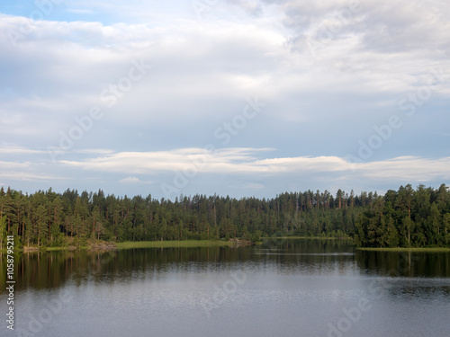 forest lake in summer