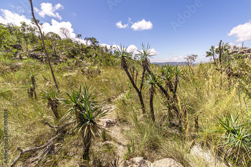 paisagem natural na cidade de Alto Paraiso de Goiás, região da Chapada dos Veadeiros, Estado de Goiás, Brasil photo