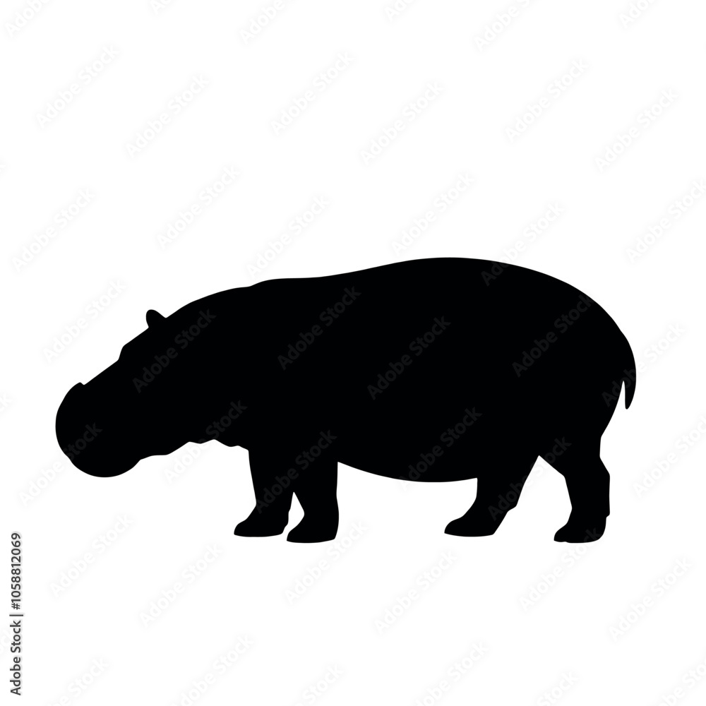 a hippo vector silhouette, isolated white background, silhouette a hippo vector silhouette, isolated white background, silhouette