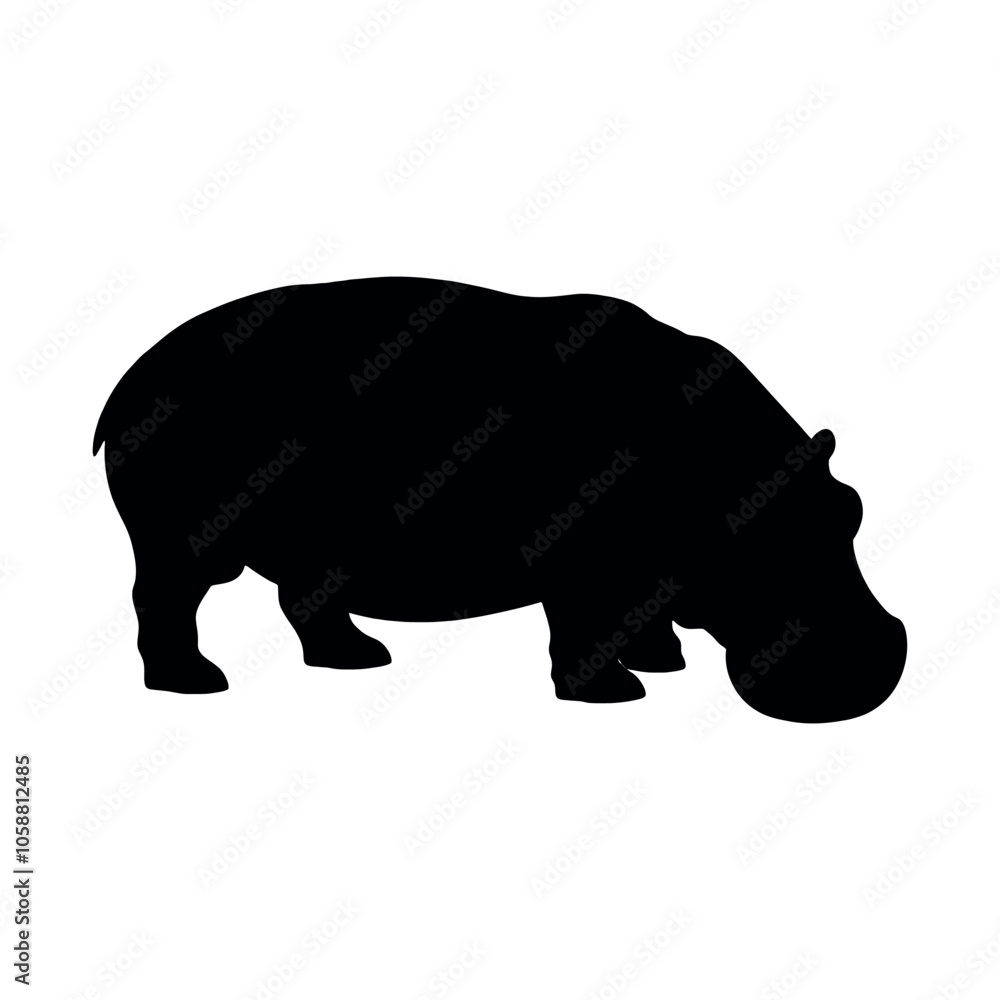a hippo vector silhouette, isolated white background, silhouette a hippo vector silhouette, isolated white background, silhouette