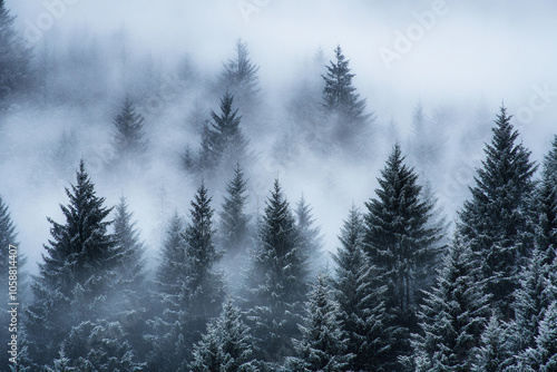 Misty forest landscape covered in snow during winter morning