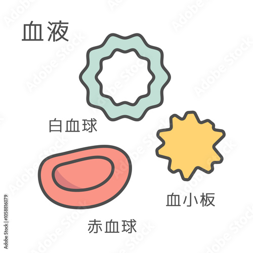 血液　白血球　赤血球　血小板　イラスト