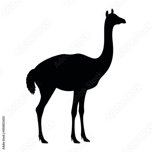 guanaco animal vector silhouette, isolated white background