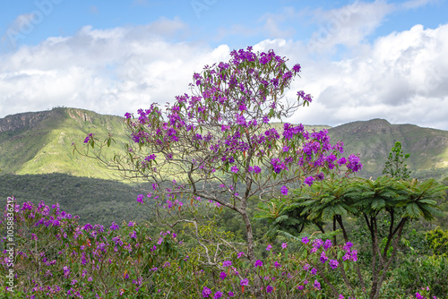 vista das serras na cidade de Alto Paraiso de Goiás, região da Chapada dos Veadeiros, Estado de Goiás, Brasil photo