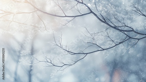 snow tree branches illustration