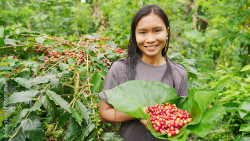 portrait of happy young asian woman arabica coffee farmer on plantation, harvesting red ripe cherries or berries, agriculture in rural asia