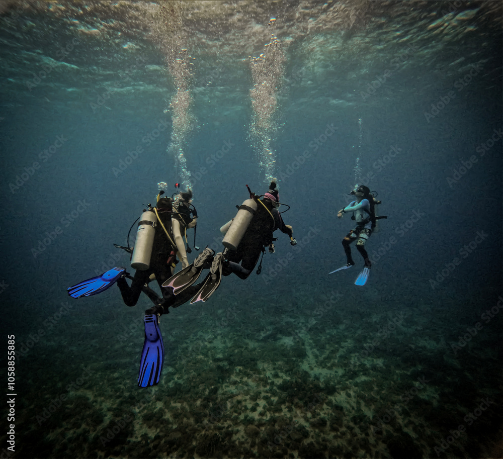 Malapascua, Philippines, is a top dive spot known for thresher sharks, vibrant coral reefs, and diverse marine life, attracting divers from around the world.
Malapascua, Philippines, is a top dive spot known for thresher sharks, vibrant coral reefs, and diverse marine life, attracting divers from around the world.
