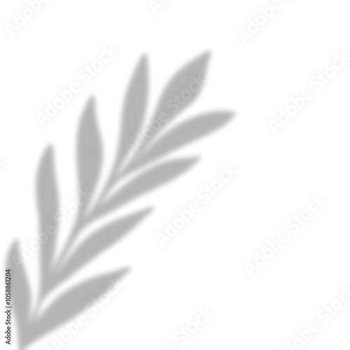 Leaves Shadow Overlay