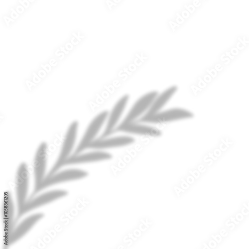 Leaves Shadow Overlay