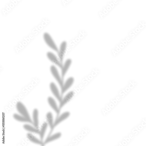 Leaves Shadow Overlay
