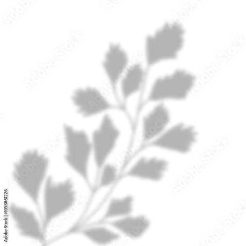Leaves Shadow Overlay