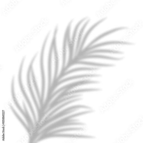 Leaves Shadow Overlay