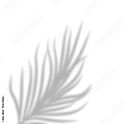 Leaves Shadow Overlay