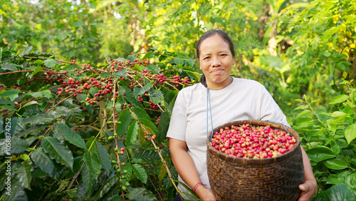 Authentic portrait of smiling young woman coffee farmer with harvested cherries in traditional basket, tree on farm with red ripe berries