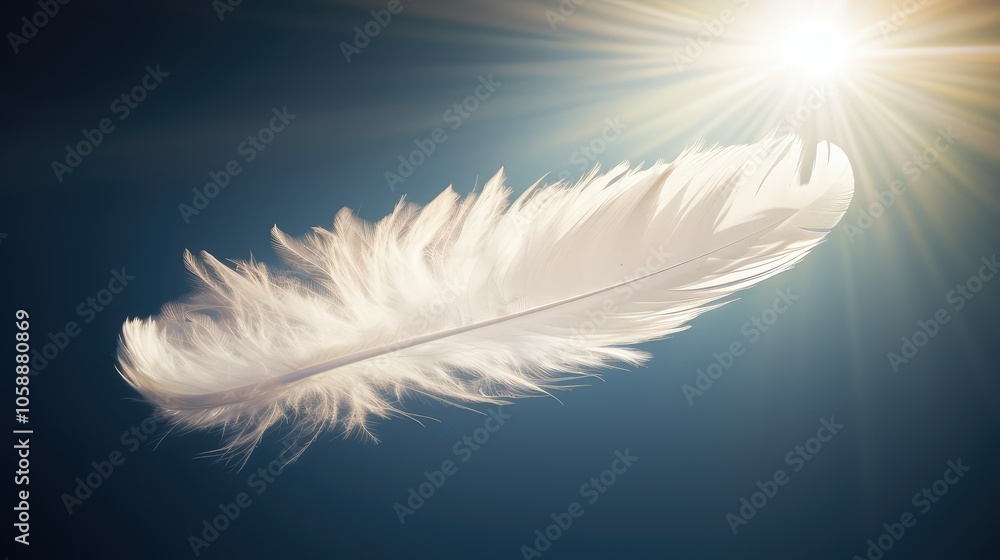 Obraz premium sunlight white feather