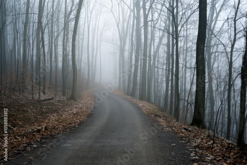 A fog-covered road weaves through bare trees, evoking a mysterious, haunting journey into an unseen, quiet world.